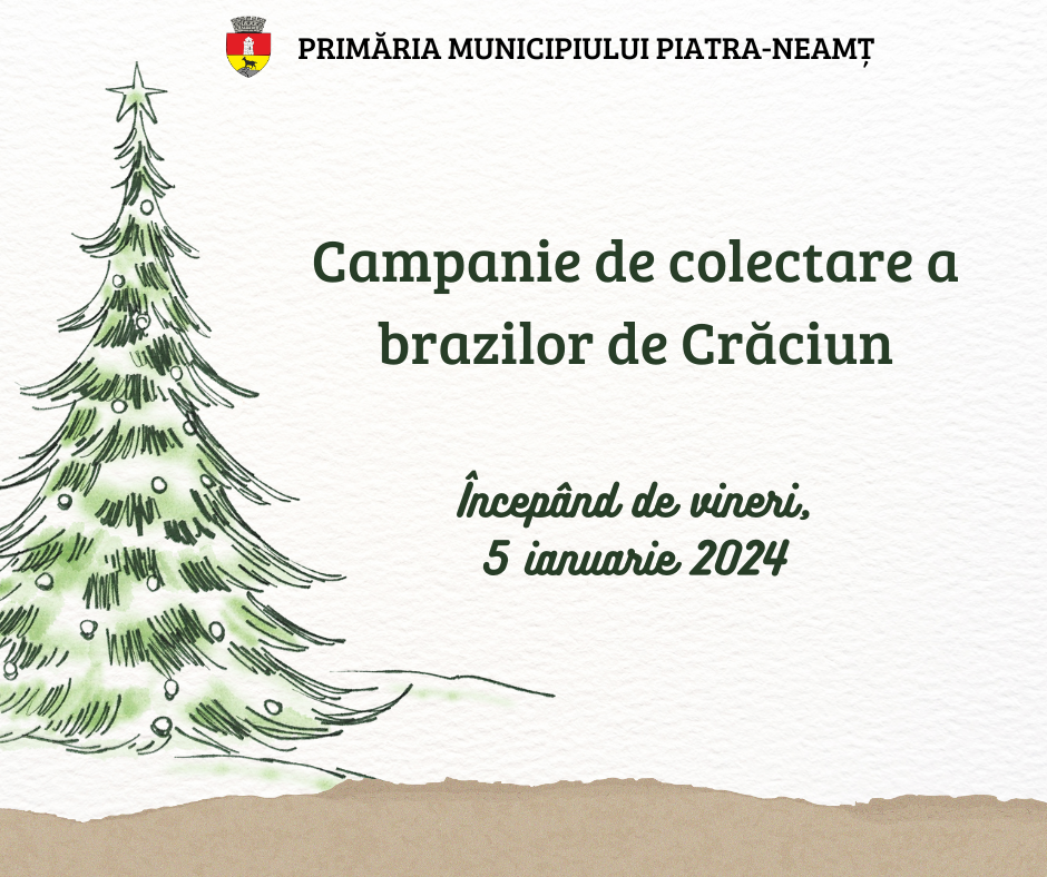 Campanie de colectare a brazilor de Crăciun