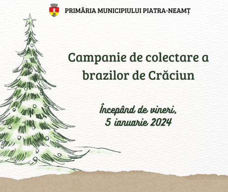 Campanie de colectare a brazilor de Crăciun