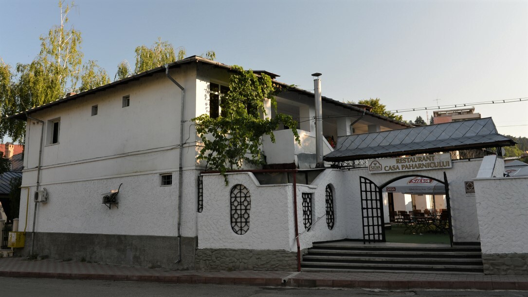 The Paharnicului House (D. Gheorghiadis) 
