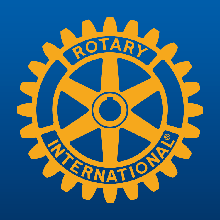 Rotary Club Piatra Neamt 2005